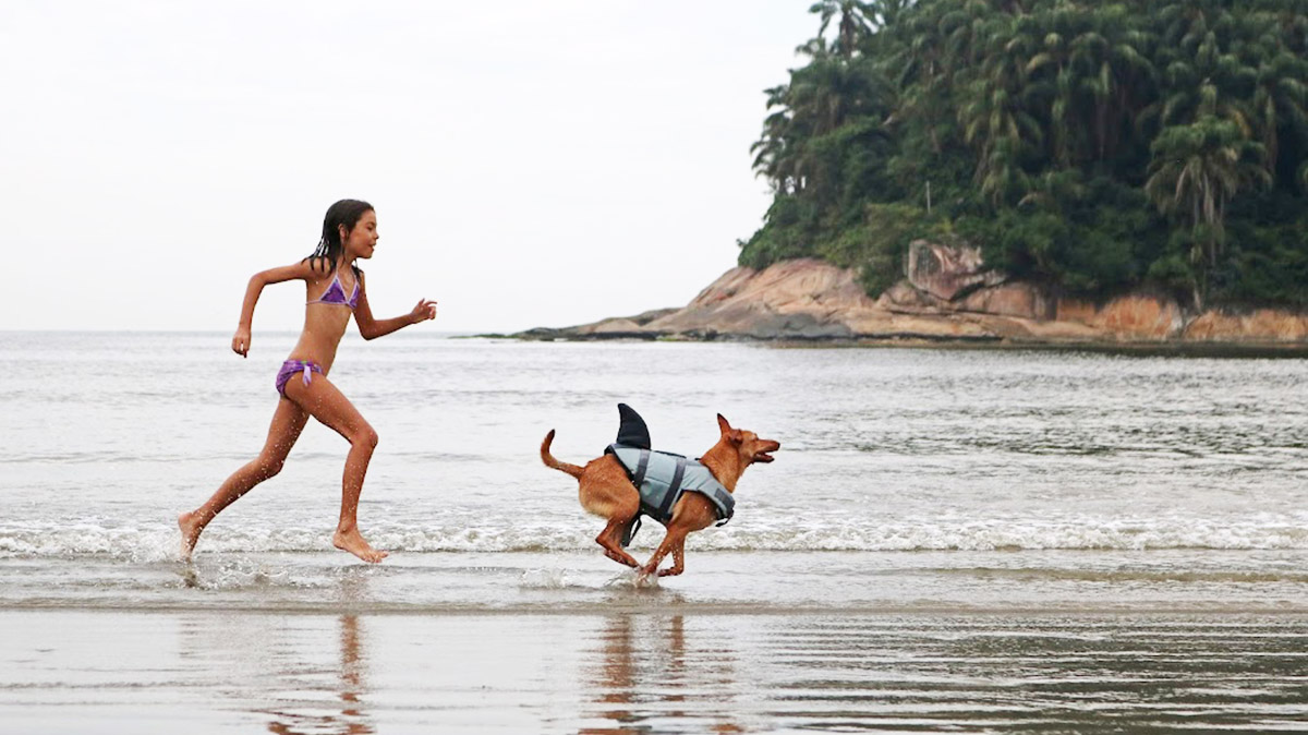 Turistas e moradores acabam levando seus cães para passear ou entrar no mar