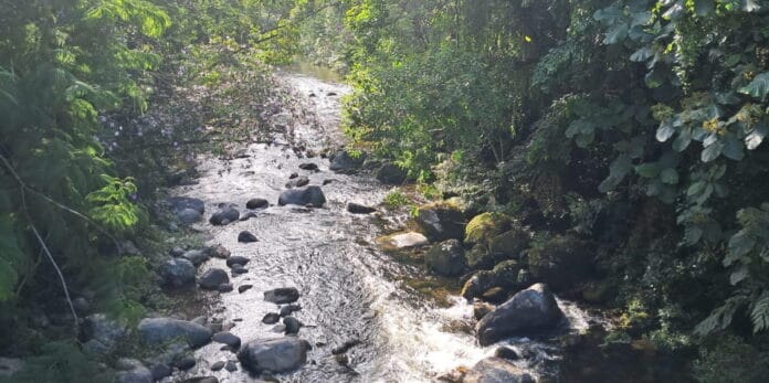O Rio do Peixe vai te fazendo companhia correndo lado a lado com você e, às vezes ele descansa em piscinas naturais abertas