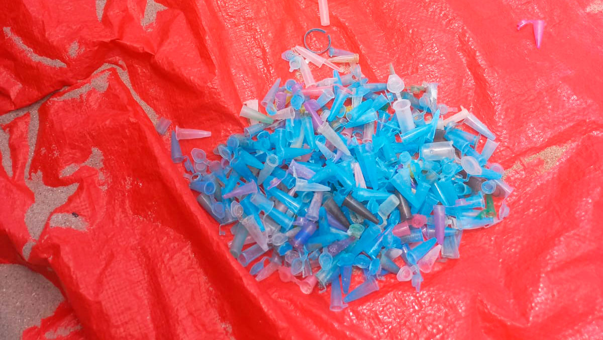 A remoção dos resíduos aconteceu no dia 26 de janeiro