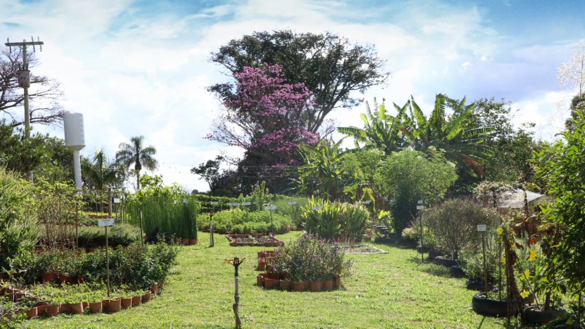 A primavera e o outono são ideais para visitas, com temperaturas moderadas e clima agradável / Divulgação/PMESP