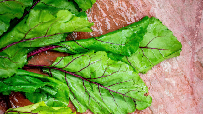 Saiba mais sobre os benefícios desse vegetal e como aproveitá-lo no seu dia a dia