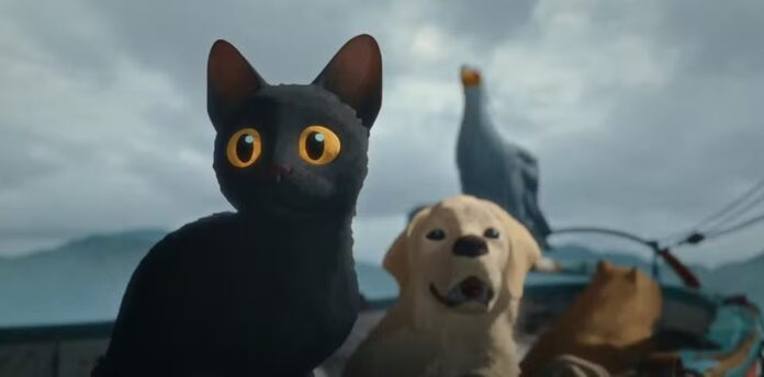 Mares Filmes/Divulgação