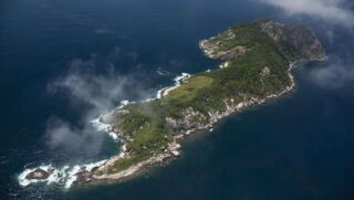 Localizada no litoral de São Paulo, a ilha é habitada pela jararaca-ilhoa