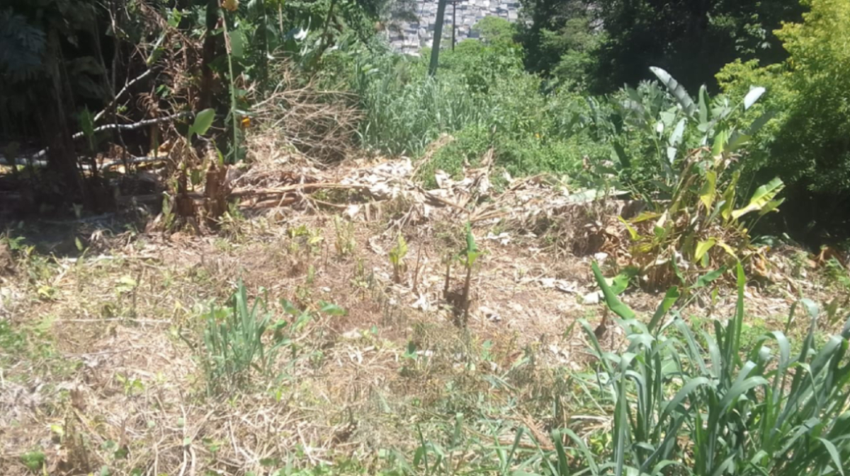 O imóvel que motivou a controvérsia tem 188,26 metros quadrados