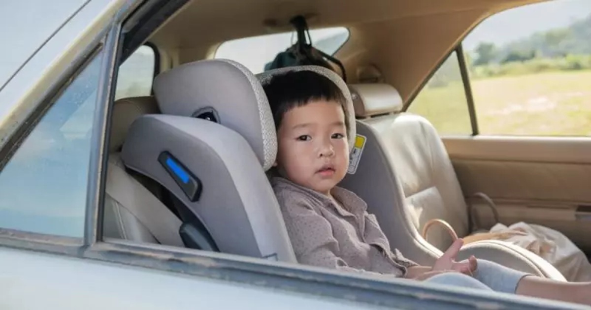 Lei da Cadeirinha não será alterada este ano