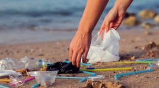 Além de gerar riscos à vida marinha, descarte irregular de lixo nas praias podem causar problemas de saúde nos humanos
