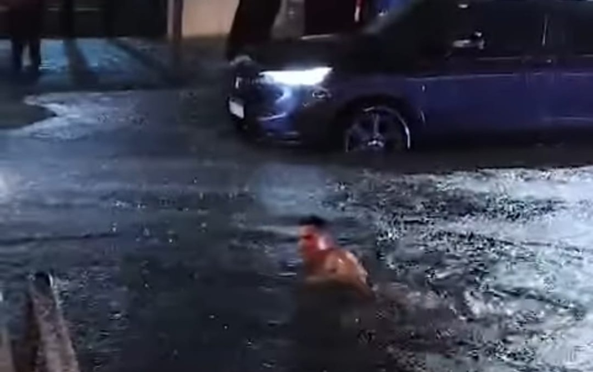 Morador de Cubatão viralizou nas redes sociais nadando em enchente no Litoral de São Paulo
