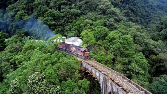 De cima da ponte, os passageiros têm uma vista privilegiada da maior área preservada de Mata Atlântica