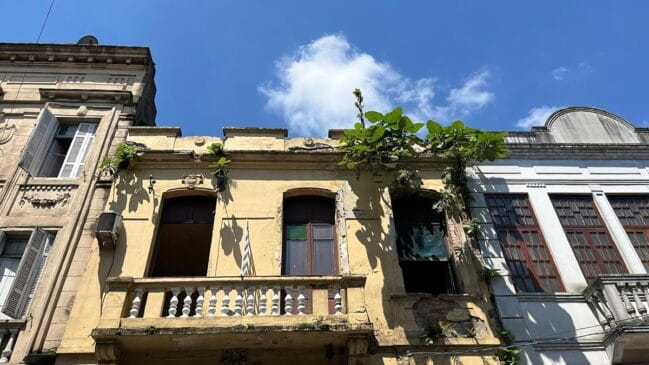 As raízes das plantas podem comprometer marquises e fachadas, colocando em perigo tanto a segurança pública quanto a integridade das construções