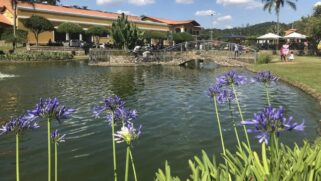 Vinícola Góes oferece diversas atrações que garantem um dia inteiro imerso na beleza e história do lugar