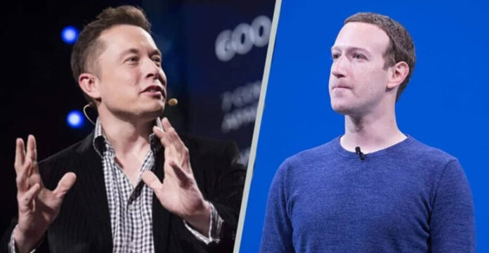 Será que 2025 pode ser o ano da luta entre Musk e Zuckerberg?