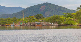A ilha é um passeio perfeito para quer deseja fugir da agitação da cidade ou das praias lotadas para se reconectar com a natureza