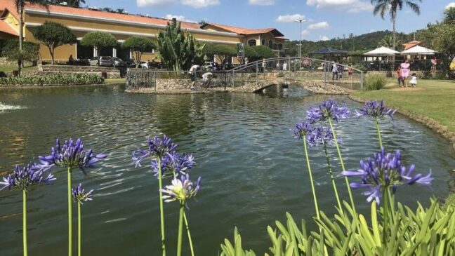 Vinícola Góes oferece diversas atrações que garantem um dia inteiro imerso na beleza e história do lugar