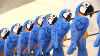 Silveiras, no interior de São Paulo, é conhecida como 'Capital do Artesanato em Madeira'