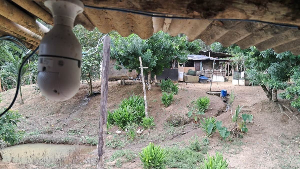 Terreno onde a onça caçou galinhas