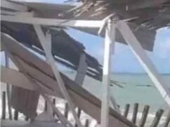 O projeto acontece de forma voluntária e atualmente monitora mais de 180 ninhos de tartarugas-marinhas