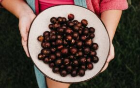 A relação entre o município e a fruta se tornou ainda mais forte em 2019