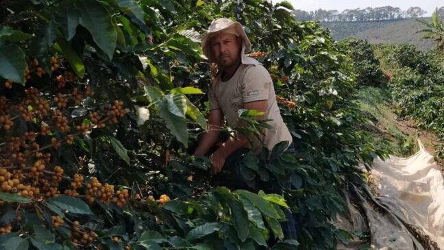 O grande vencedor foi o produtor Ronaldo Silva, que atingiu a impressionante marca de 92,32 pontos
