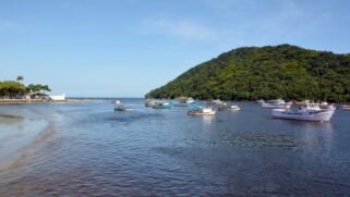 A experiência de navegar pelo canal e descobrir essas paisagens naturais torna-se um atrativo imperdível