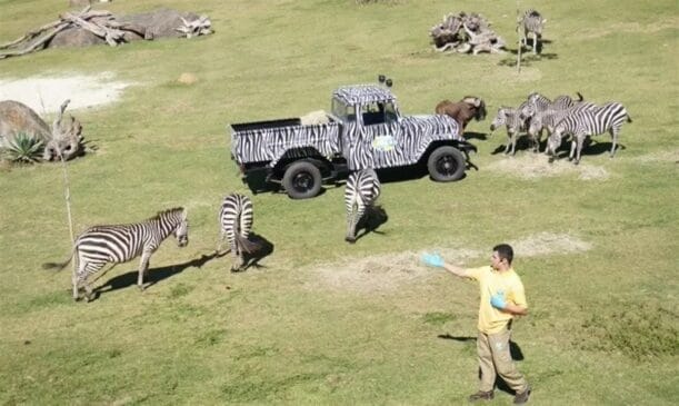 Além da diversão, o parque também tem foco na preservação ambiental