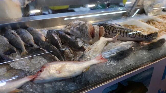 Pescado estará com preços acessíveis no Mercado