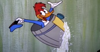 Mulher inspirou episódio de Pica-Pau quando ele desce as cataratas em um barril