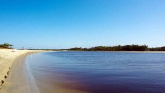 Para facilitar a sua vida, o Diário do Litoral separou três praias que merecem a sua visita