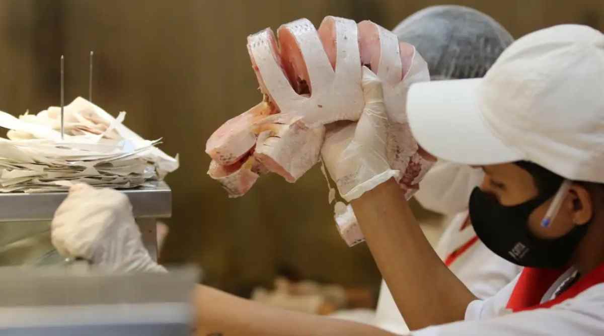 Os destaques foram o robalo, com redução de 32,96% nos preços ao longo do último mês, além da cavalinha (-24,85%)