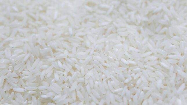 O município produz 25% de todo o mercado de arroz