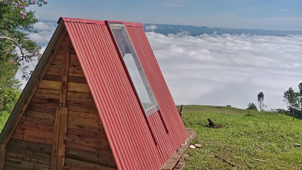 É possível também fazer voo livre, rapel, caminhadas e vivências na mata / Divulgação