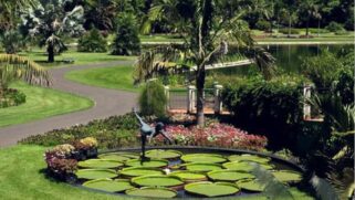 Aberto ao público desde 2011, o Jardim Botânico Plantarum desempenha um papel importante