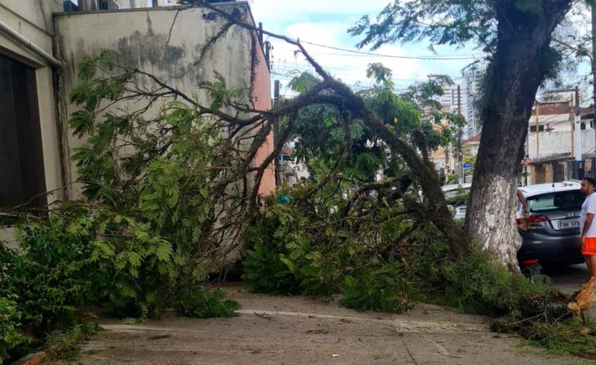 Divulgação/Ainda segundo a Administração Municipal, foi registrada a queda de um galho de grande porte na região