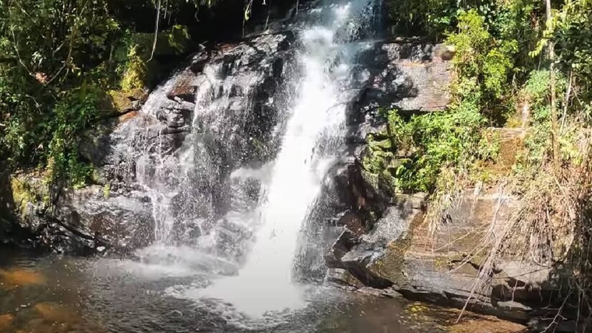 A trilha tem dificuldade moderada e é ideal para quem aprecia o ecoturismo (Parque Estadual Serra do Mar/Divulgação)