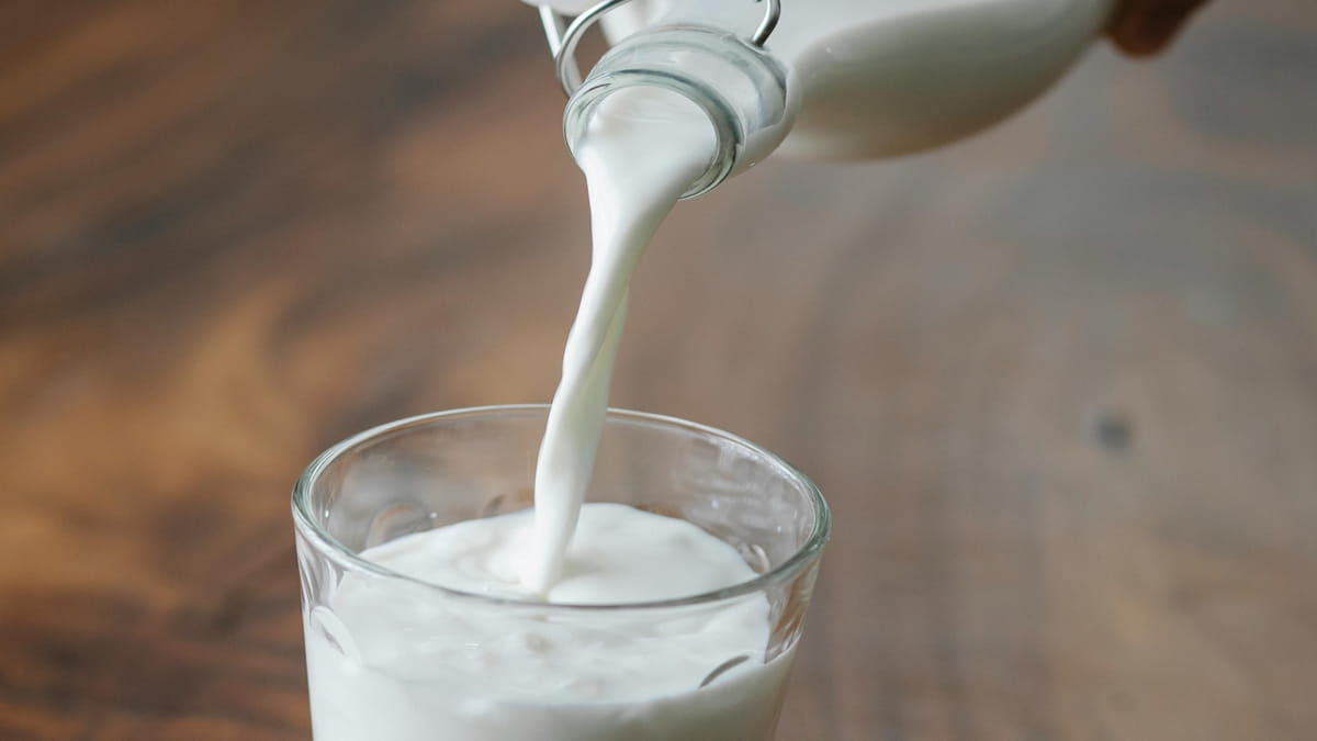 Cidade é responsável por 14% do leite produzido no estado