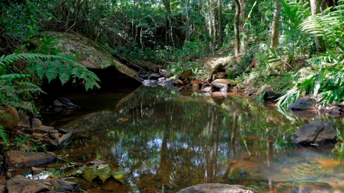Divulgação/ Prefeitura de São Bento do Sapucaí