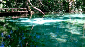 Brotas é um verdadeiro paraíso para os amantes do ecoturismo e da aventura