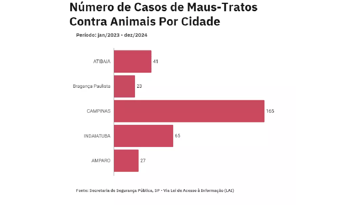 Campinas aparece como o município com maior número de denúncias