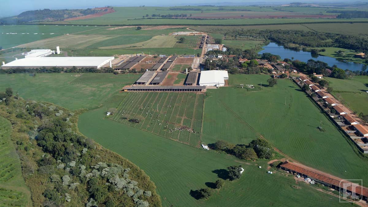 Local é responsável por ser o maior produtor de leite no Brasil