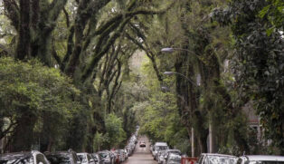 A rua mais bonita do mundo é, realmente, exuberante
