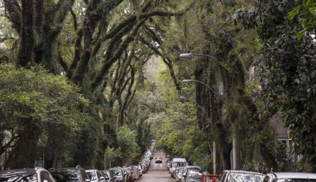 A rua mais bonita do mundo é, realmente, exuberante