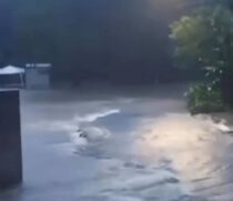 Estado de São Paulo foi atingido por forte temporal