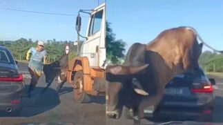 O incidente aconteceu na movimentada Avenida Rebouças