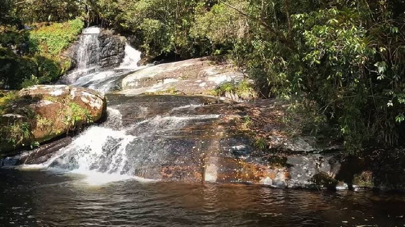 Além de sua beleza natural, o parque abriga uma biodiversidade impressionante (Parque Estadual Serra do Mar/Divulgação)