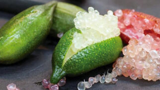 Limão-caviar (Citrus Australasica) é assim chamado por que guarda em seu interior pequenas esferas que lembram ovas de peixe