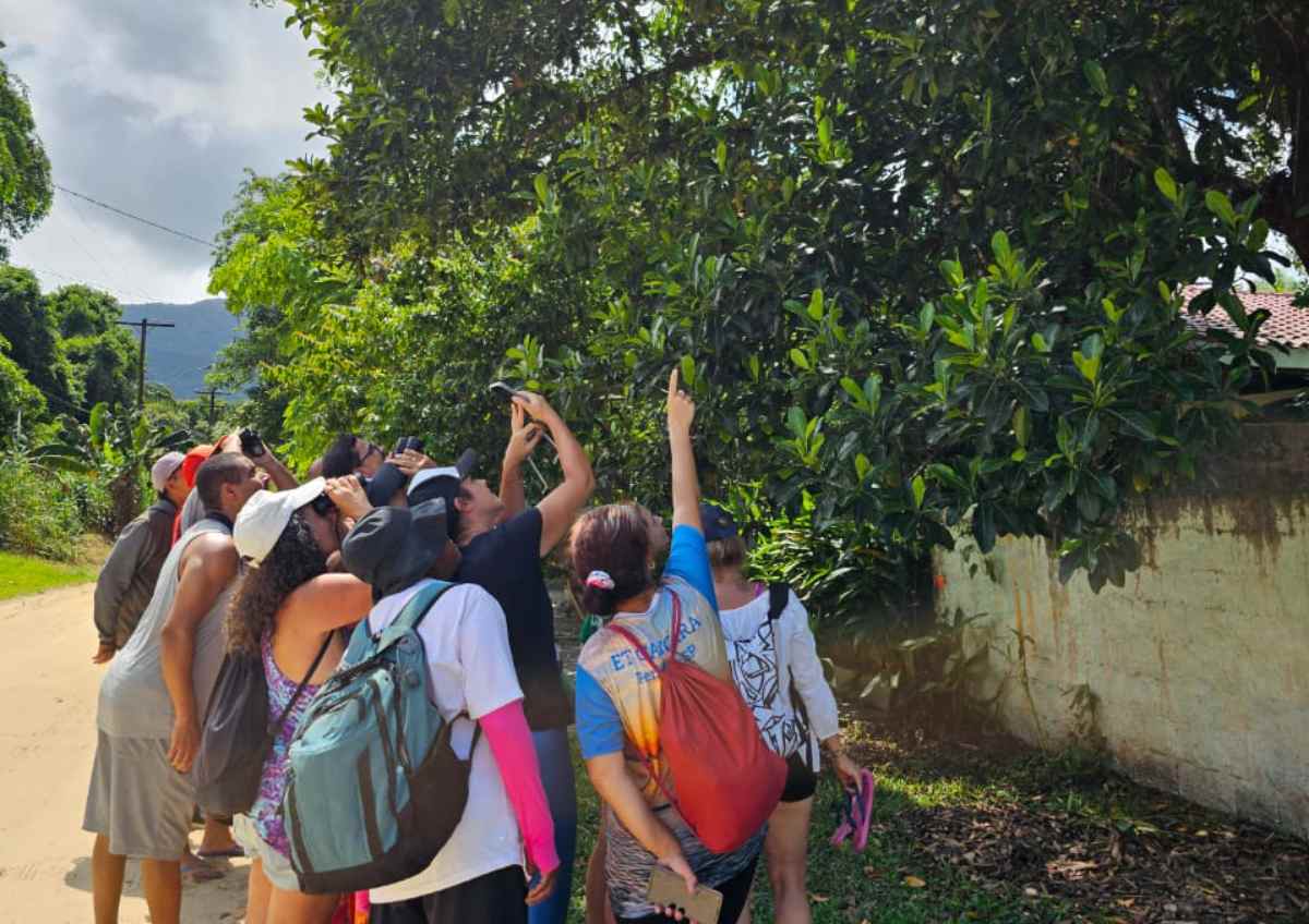 Na região são mais de 50 parques estaduais e 824 espécies de aves catalogadas/Karina Avila / Arquivo Pessoal