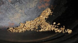 Mais de 64 toneladas de ouro foram identificadas no leito do Rio Indo