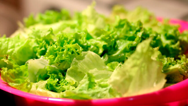 Pode não parecer, mas suas verduras folhosas continuam biologicamente ativas mesmo depois de colhidas.