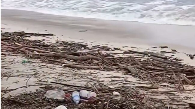 Praia amanheceu repleta de resíduos, materiais plásticos e rejeitos orgânicos