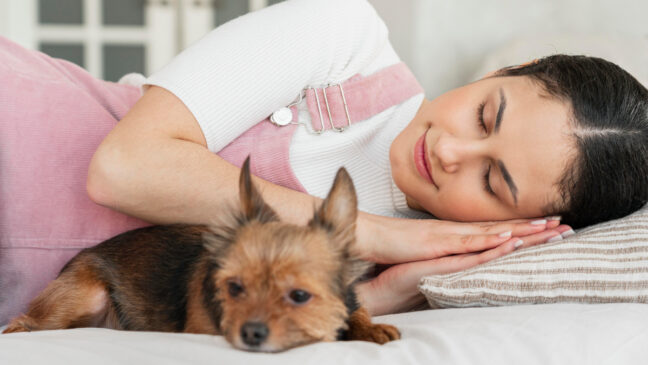 Os especialistas identificaram sete características recorrentes em quem dorme com seus pets