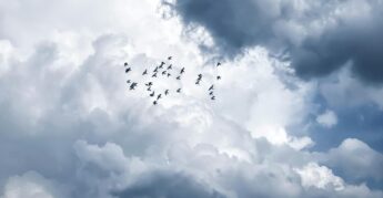 El Niña já tem data para dar as caras no Brasil novamente